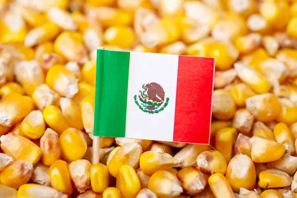 Meksika Bayrağı Hasat Edilmiş Mısırın Üstünde Tahıl Kökü Meksika Tarım — Stok fotoğraf