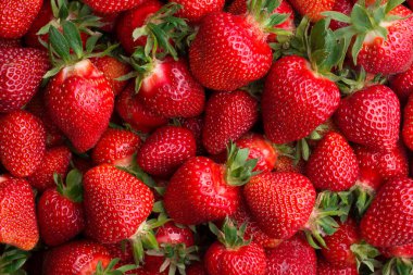 Taze olgun çilekler.