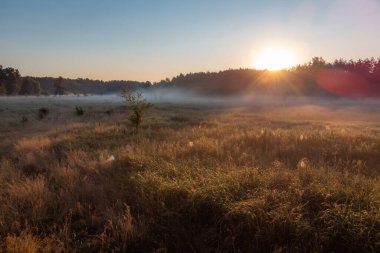 Kırsalda sabah sisi var. Güneşin doğuşu vadiyi aydınlatıyor sabahın erken saatlerinde