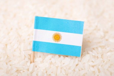Flag of Argentina on white rice. Origin of cereal, agribusiness concept, export, import of rice