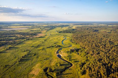 Beautiful aerial landscape of small river in countryside in evening. River near wild pine forest, warm sun rays illuminating valley