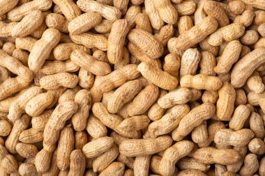 Background of peanuts in peel. Top down shot of roasted peanut