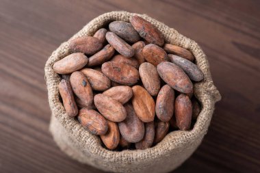 Cocoa beans in bag. Harvested cocoa beans in linen sack against dark wooden background