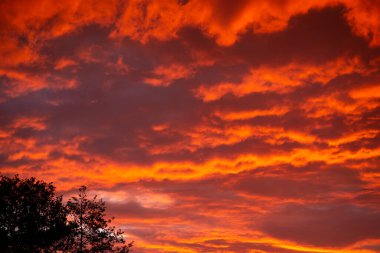 Red clouds illuminated by sunlight. Scenic dramatic sunset on summer sky in the evening