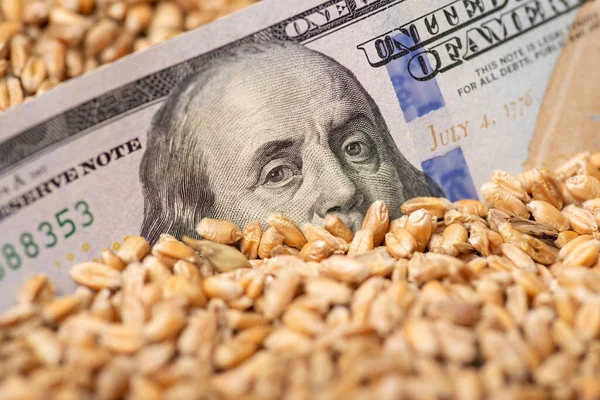 One Hundred Dollar Bill Wheat Business Growing Wheat Price Grain — ストック写真