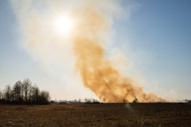 View on spring field, dry grass, orange smoke on horizon. Nature on fire, agricultural damage and air pollution