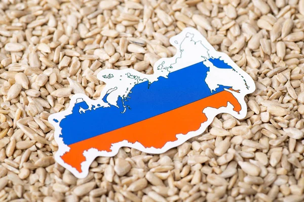 Flag and map of russia on peeled sunflower grain. Concept of growing sunflowers in russia, origin of grain