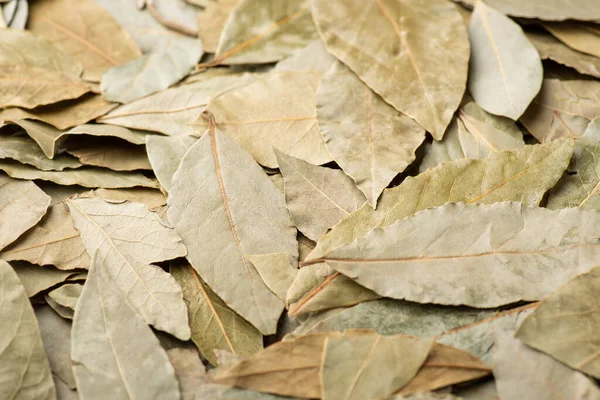 Bay leaf on table. Dried leaves of bay tree is kind of spices used for adding aroma to dishes
