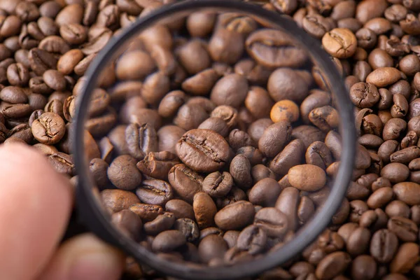 Magnifying glass on coffee beans. Concept of studying coffee, its compound, effect of human body