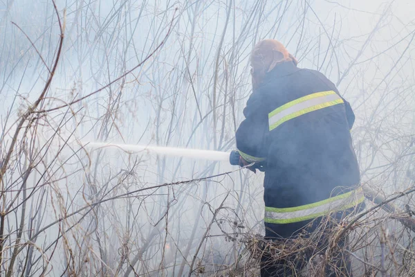 Professional firefighter stands in smoke, sprays water to the wildfire in the countryside
