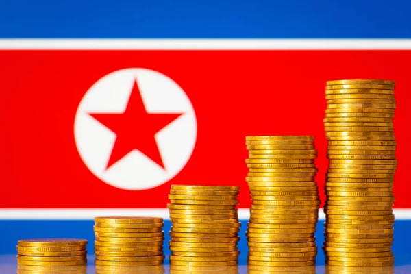 Money Coins Stacks Rising Order Front North Korea Flag Development — Stock Photo, Image