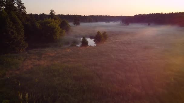 Beautiful Foggy Morning Countryside Aerial Footage Calm Meadow Morning Mist — Stockvideo