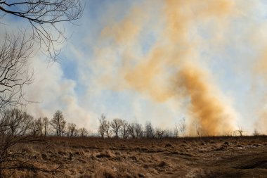 Field fire burns everything on its way. Clouds of smoke from burning grass, bushes and trees in the field in spring. Dangerous wild fire