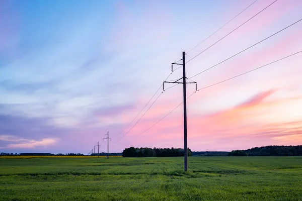 Countryside landscape of green field of wheat in spring. Evening landscape of agricultural field after sunset, bright colours in the sky, high voltage electricity line