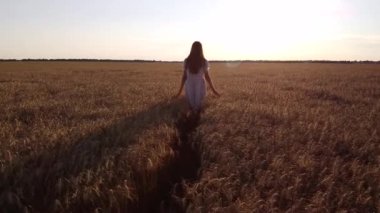 Slow-mo video of a young girl walking in endless field of ripe wheat to the sunset and turns back to the camera. Young girl walking in the field of rye