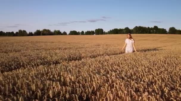 Young Happy Girl Walking Field Ripe Golden Wheat Sunset Slow — Stockvideo