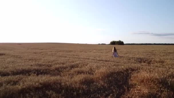 Filmové Záběry Krásné Dívky Poli Zralého Žita Dron Video Osamělé — Stock video