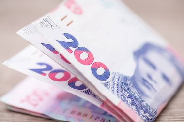 Macro image of ukrainian 200 hryvnia banknotes, cash concept. Focus on the numbers of money bills, portrait of famous poetess Lesya Ukrainka