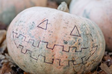 Big pumpkin with drawn smile on it, close up. Making halloween decorations, preparing for autumn holiday, cut a hand-made scary face