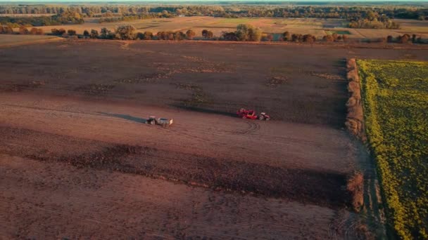 Rekaman Udara Traktor Menggali Kentang Lapangan Malam Hari Truk Truk — Stok Video