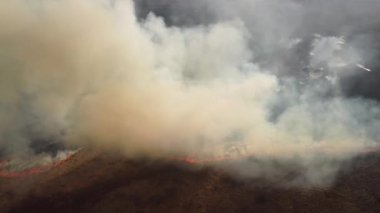 Kırsal bölgelerdeki tarlalara ve bataklıklara yayılan orman yangınının hava görüntüleri. Ateş kuru otları ve ağaçları yakıyor.