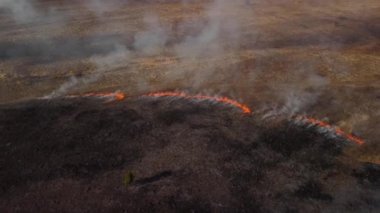 İlkbaharda yanan arazinin havadan çekilmiş videosu. Kuru otların arasından yayılan orman yangını