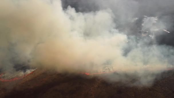 Luftaufnahmen Von Flächenbränden Die Sich Über Felder Und Sümpfe Der — Stockvideo