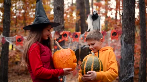 Duas Crianças Felizes Mostrando Outro Fez Jack Lanternas Floresta Lugar — Vídeo de Stock