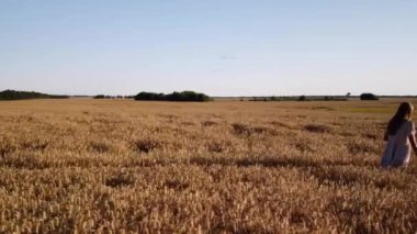 Çavdar tarlasında yürüyen kız, ağır çekimde. Özgürlük kavramı, sakinlik, doğada dinlenme.