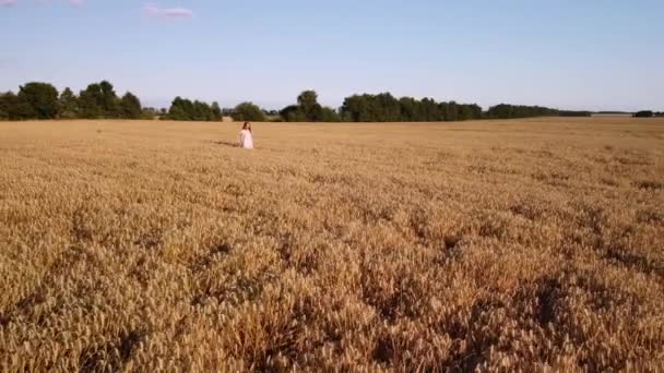 Slow Video Mladé Krásné Dívky Procházející Poli Pšenice Pojem Svoboda — Stock video