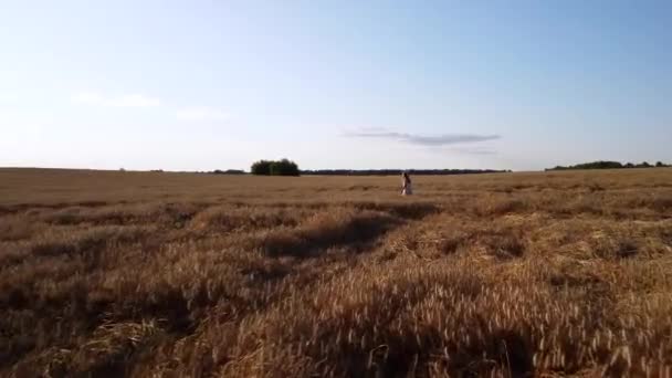 Drone Záběry Mladé Dívky Procházející Při Západu Slunce Poli Žitem — Stock video