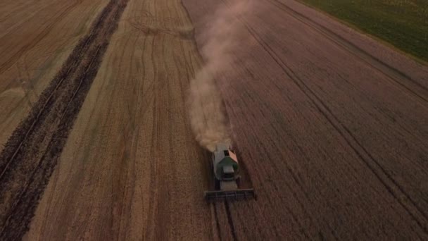 Travaux Agricoles Dans Les Champs Vue Aérienne Moissonneuse Batteuse Pulvérisateur — Video