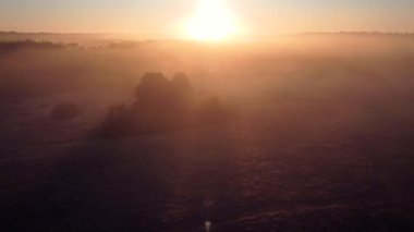 Sabah sisinde tarlanın çok güzel bir görüntüsü. Kırsalda aydınlık bir sabah
