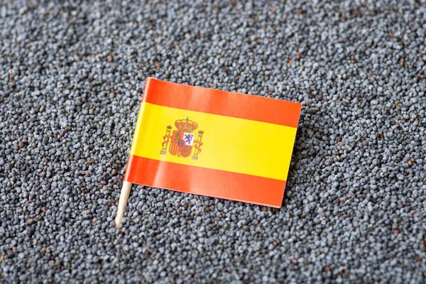 Flag of Spain in poppy seed. Growing poppy seed in Spain country concept