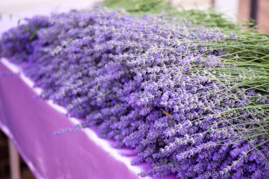 Masanın üzerinde mor ipek masa örtüsü olan bir yığın lavanta çiçeği. Hasat zamanı, aromaterapi için lavantadan el yapımı üretim.