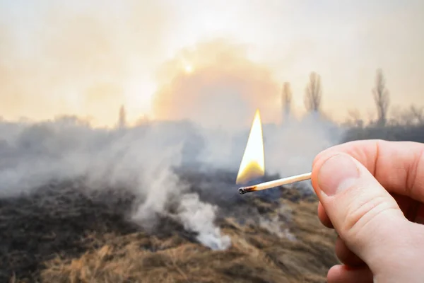 Burnt Field Countryside Burning Match Foreground Concept Big Wildfire Caused — Stock Photo, Image
