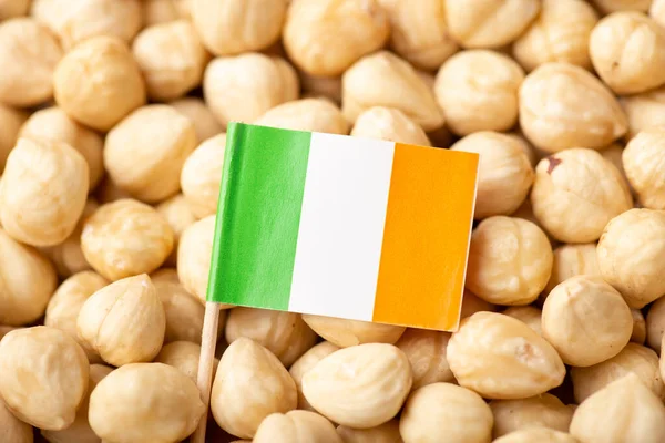 ヘーゼルナッツにアイルランドの旗 アイルランドの概念で成長しているナッツ アグリビジネス — ストック写真