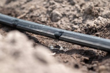 Yerdeki lavajları temizleyin, kapatın. Üzerinde su damlası olan sulama sisteminin bir parçası, tarım ve bahçıvanlık kavramı.