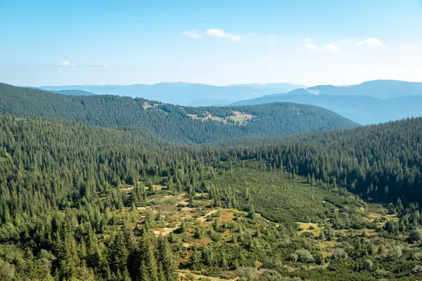 Schöne Aussicht Auf Bewaldete Fichtenberge Berglandschaft Einem Ruhigen Sonnigen Tag — Stockfoto