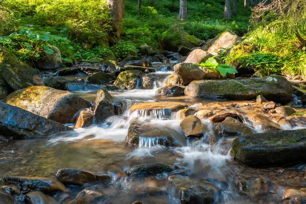 Small mountain stream flows between rocks in forest. Bright morning in the mountains, fast stream illuminated by rising sun