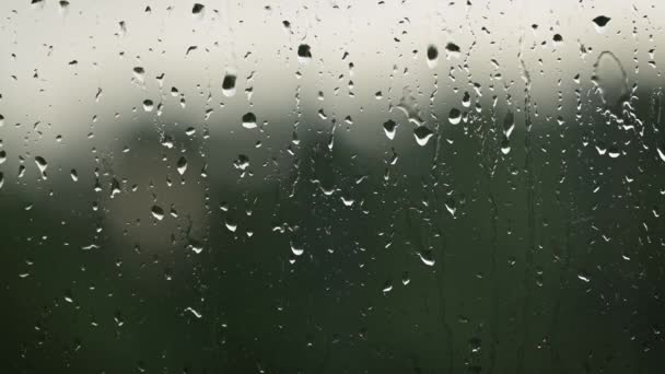 Zbliżenie Kropel Wody Szybę Okienną Deszczowa Pogoda Zewnątrz Spadające Krople — Wideo stockowe