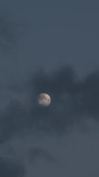 Vídeo Vertical Nuvens Que Fluem Céu Cobrindo Lua Vídeo Noite — Vídeo de Stock