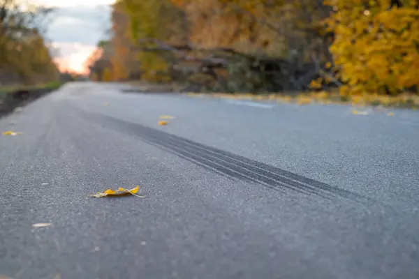 Tire track on the asphalt road, emergency braking, car accident. Autumn time, fallen trees making obstacles on the roadway, danger for drivers concepts