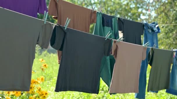 不同颜色的衣服在绳上洗后室外烘干 在花园里把新鲜整洁的衣服晒干 — 图库视频影像
