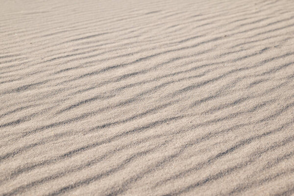 Sand beach with waves. Close up of sand under bright sunlight, wind made waves on it