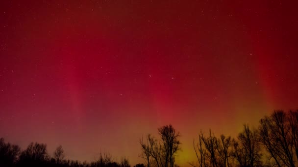 スカイタイムラプスの明るい赤い北のライト ウクライナ上空の赤い色の北ライトオーロラのショートビデオ — ストック動画