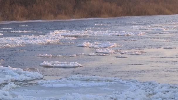 Лёд Дрейфует Реке Ледяные Части Дрейфуют Поверхности Реки — стоковое видео
