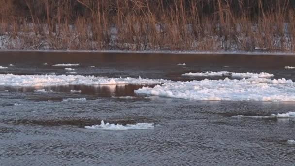 강에서 얼음이 흘러나옵니다 표면에 떠오르는 부속의 — 비디오