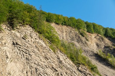 Tepenin tepesinde ağaçlar ve çalılar ve biraz da kenarı var. Dağlık rahatlama, parlak yaz güneşinin altında taş katmanları