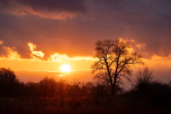 Landscape of setting sun above the horizon in countryside. Sun goes down, vibrant colours in clouds, silhouette of a big tree